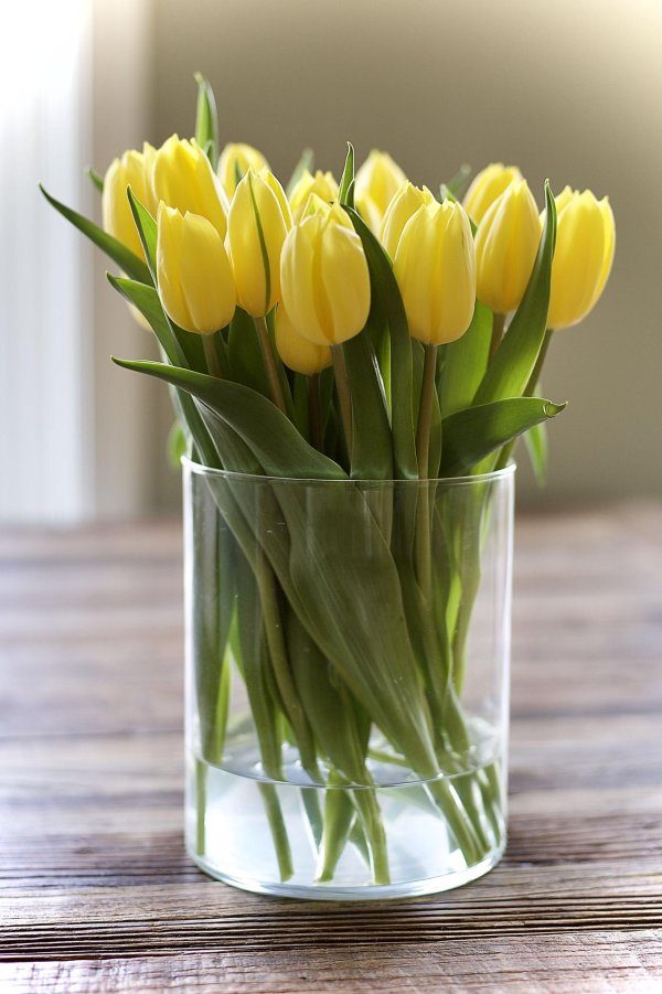 букет желтых тюльпанов