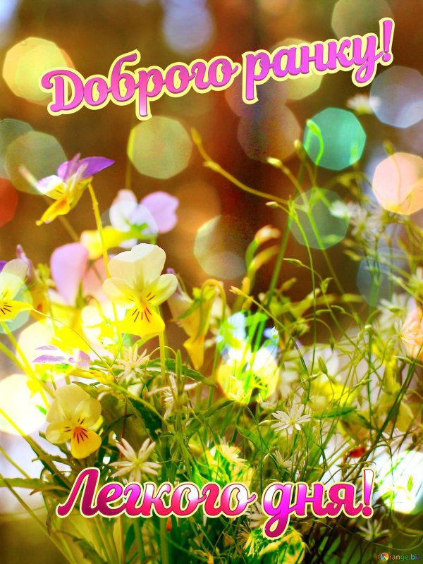 легкого дня