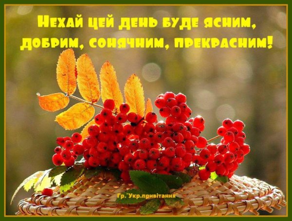 осень рябина