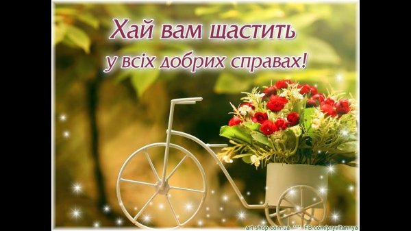 августовские цветы
