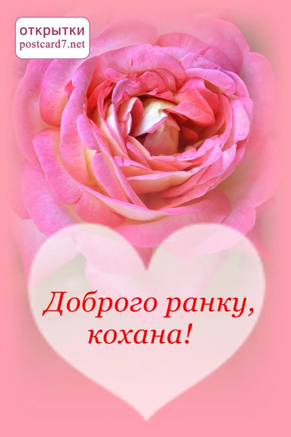 доброго ранку