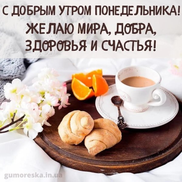 добрейшего утра понедельника