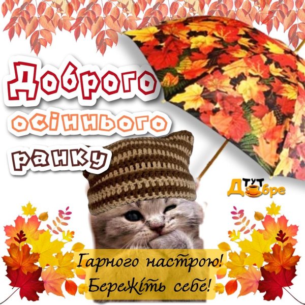 осенний приветик