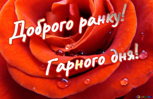 добрий ранок