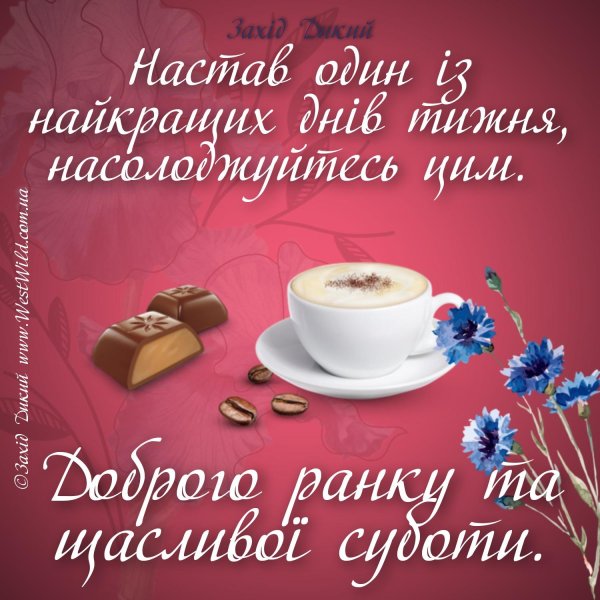 добрий ранок