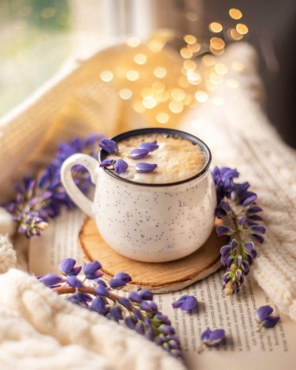 лавандовый латте