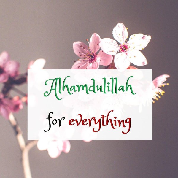 alhamdulillah quote