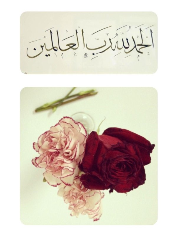 альхамдулиллях за новый день