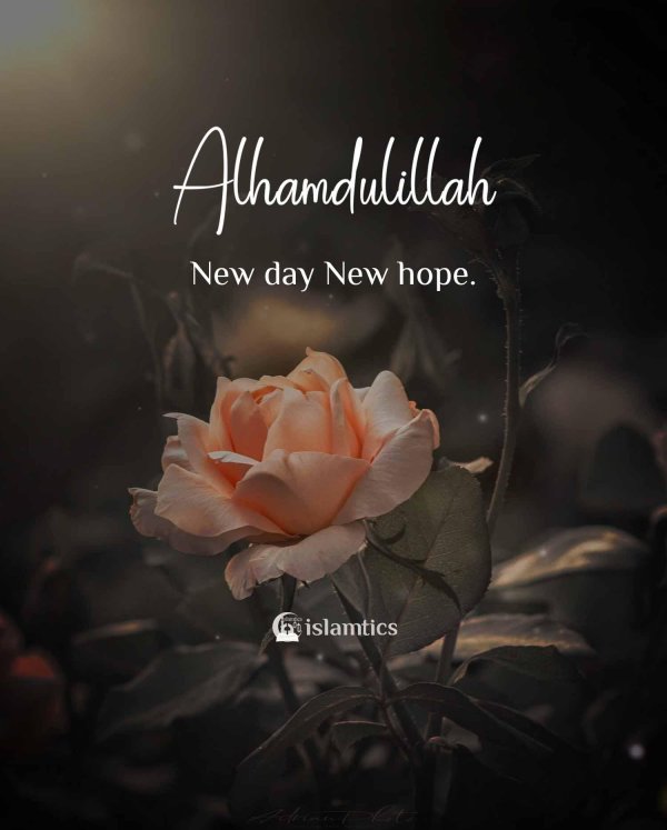 alhamdulillah quote
