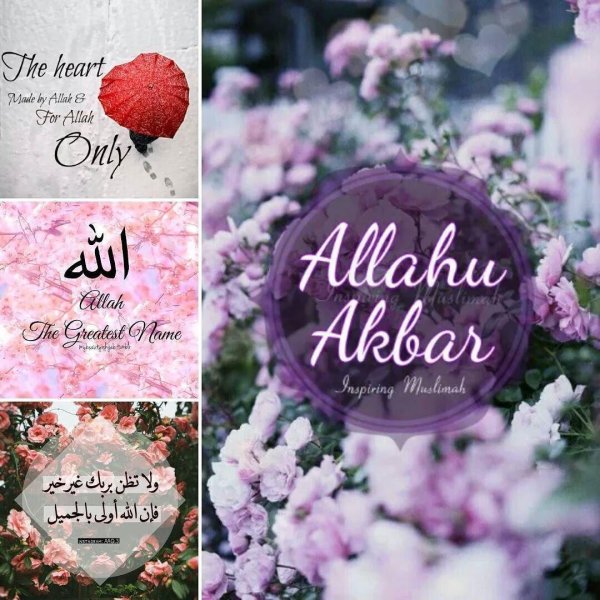 мусульманские цветы