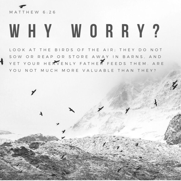 горы пейзаж