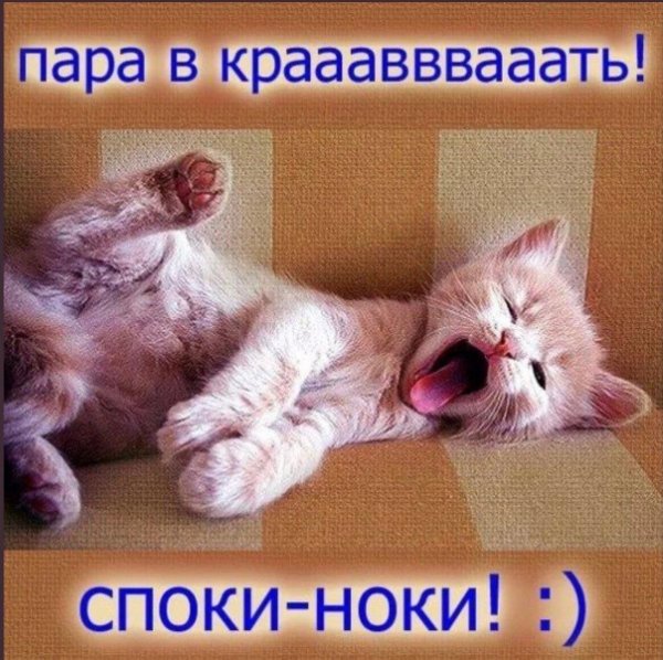 прикольное спокойной ночи