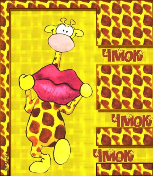 целую открытка