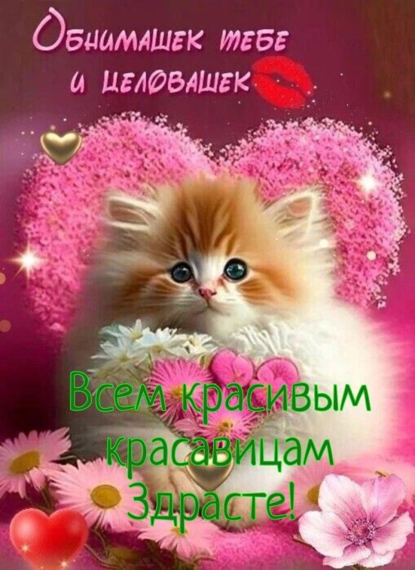 открытка обнимашка