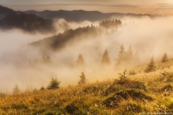 туманные горы карпаты