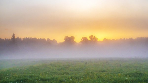 летний туман