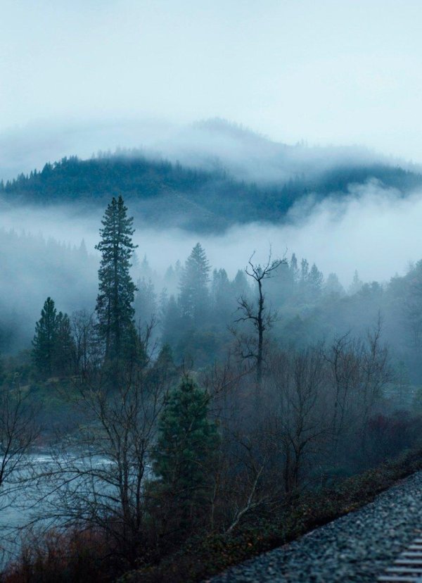 туманные пейзажи