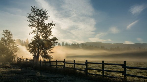 туманные пейзажи