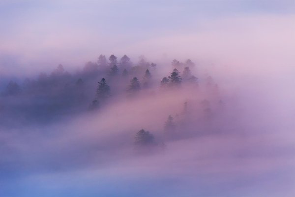 туманные пейзажи