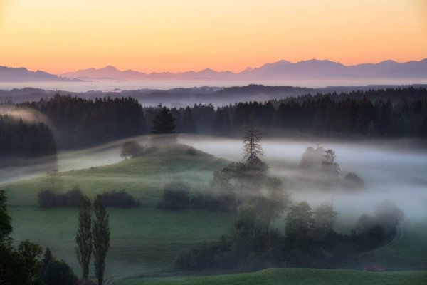 туманные пейзажи