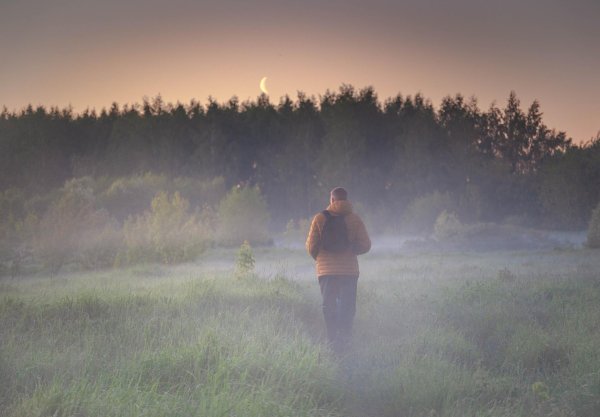 утренние пейзажи