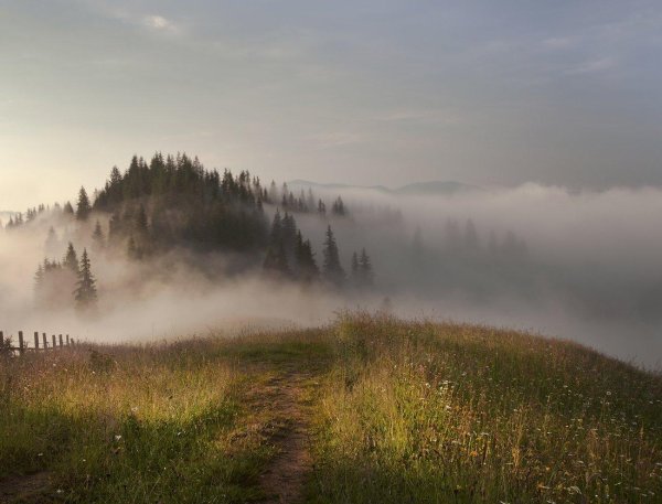 туманные пейзажи