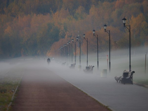 утро туманное