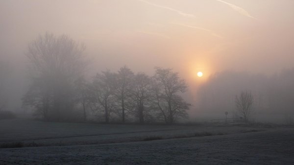 туманные пейзажи