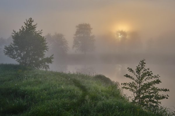 туманное утро