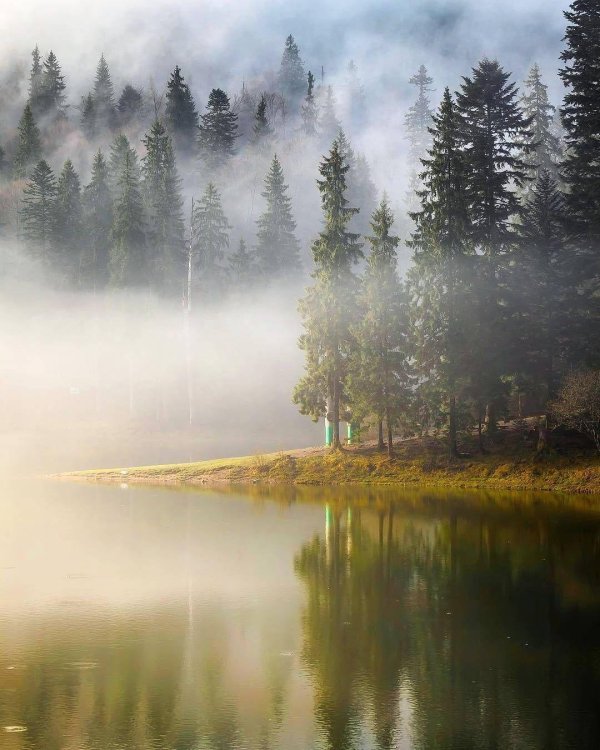 озеро синевир карпаты