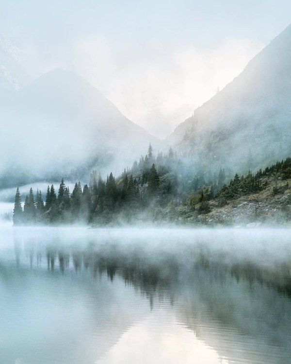 туманные пейзажи