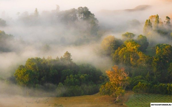 туманная долина арден