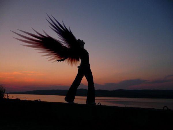 косица намерения