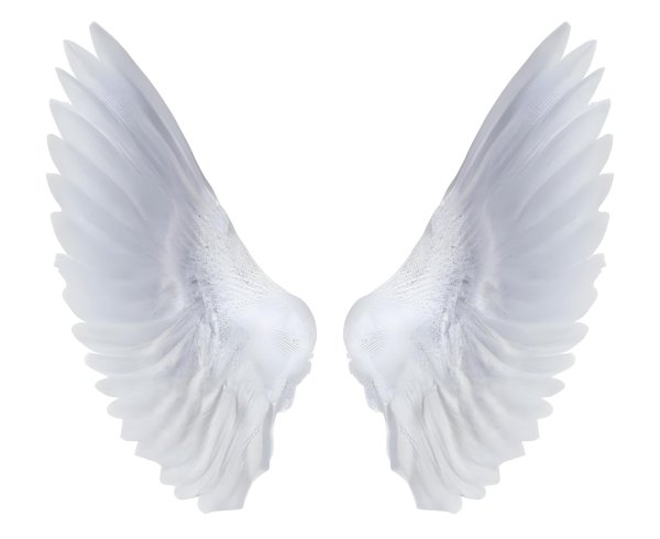 крыло ангела