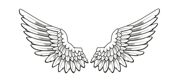 крыло ангела рисунок