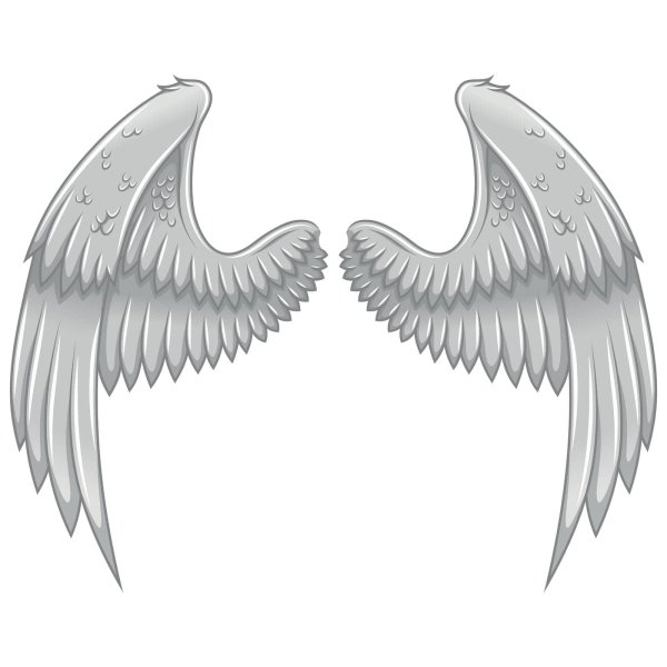 крыло ангела