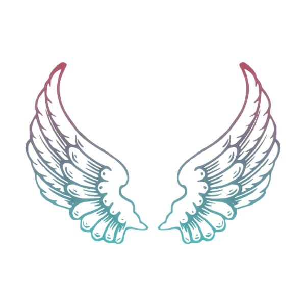 крыло ангела