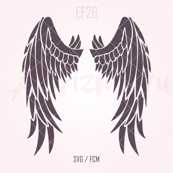 крыло ангела