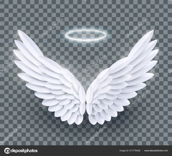 крылья с нимбом