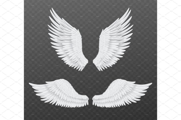 белое крыло