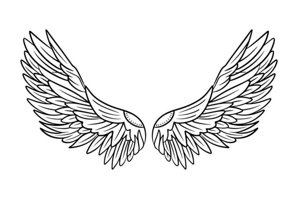 крыло ангела вектор
