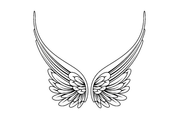 крыло ангела рисунок