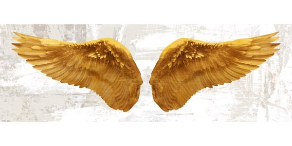 крыло ангела