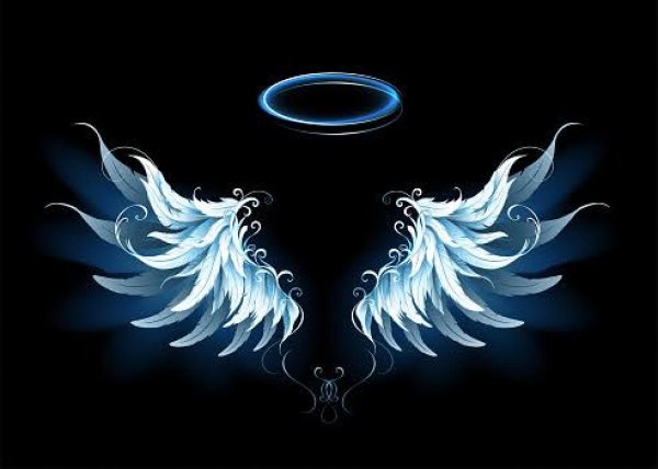 красивые крылья