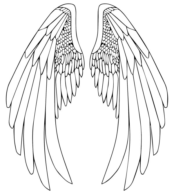 крыло ангела рисунок