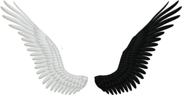 крылья без фона