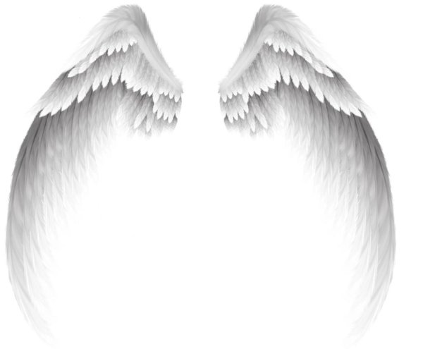 крыло ангела