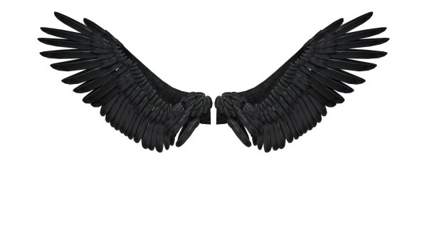 крылья черные