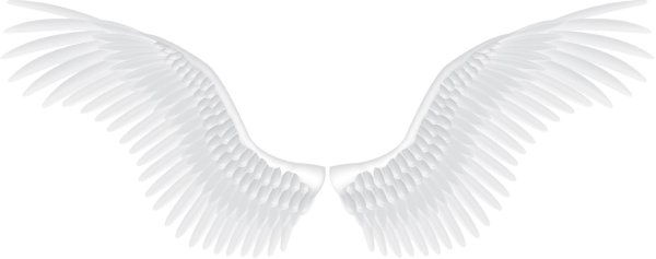 крыло ангела