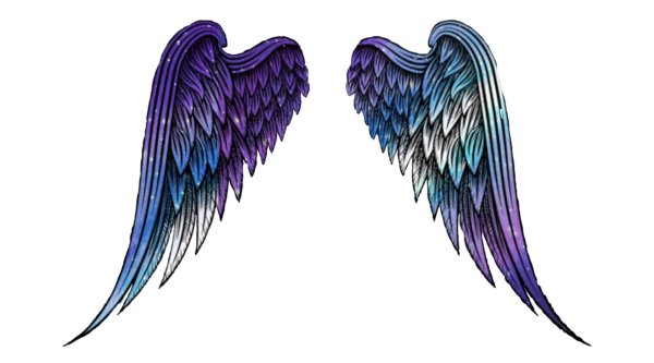 крылья без фона